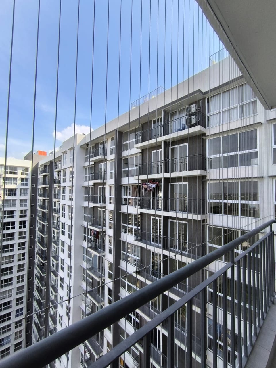 Pigeon & Bird Netting